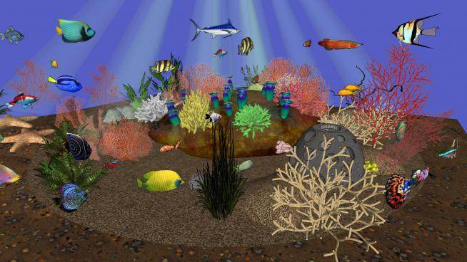 海底世界海鱼珊瑚海星SU模型下载_sketchup草图大师SKP模型