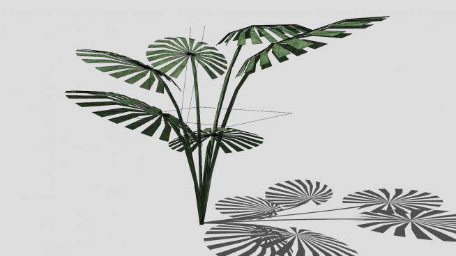 热带植物sketchup模型下载_sketchup草图大师SKP模型
