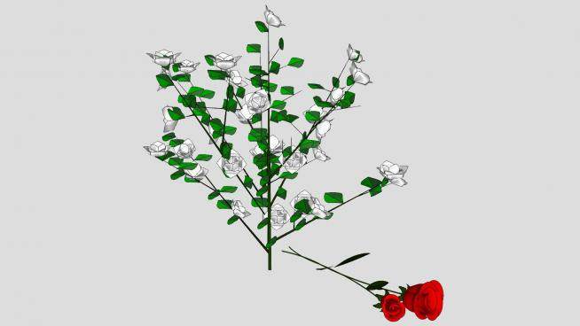 红白玫瑰灌木植物SU模型下载_sketchup草图大师SKP模型
