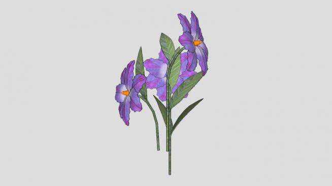 紫色花卉植物sketchup模型下载_sketchup草图大师SKP模型