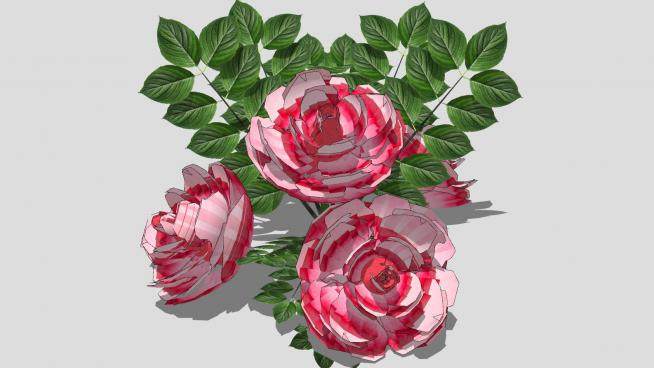 红玫瑰植物花卉SU模型下载_sketchup草图大师SKP模型