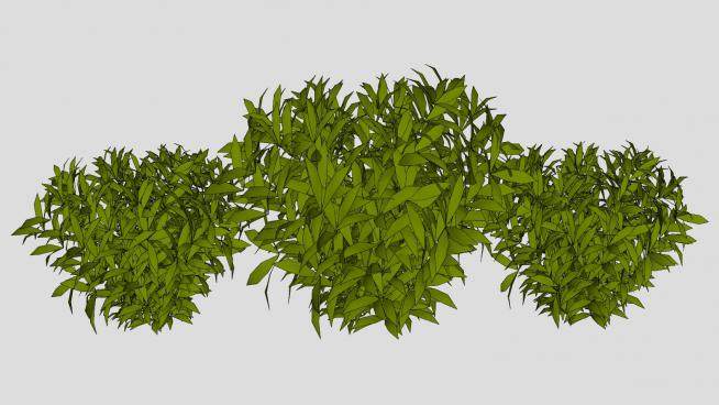 绿草植物SKP模型下载_sketchup草图大师SKP模型