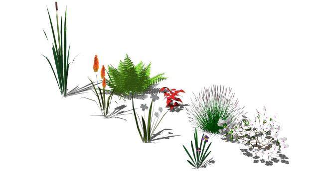花和蕨类植物SU模型下载_sketchup草图大师SKP模型