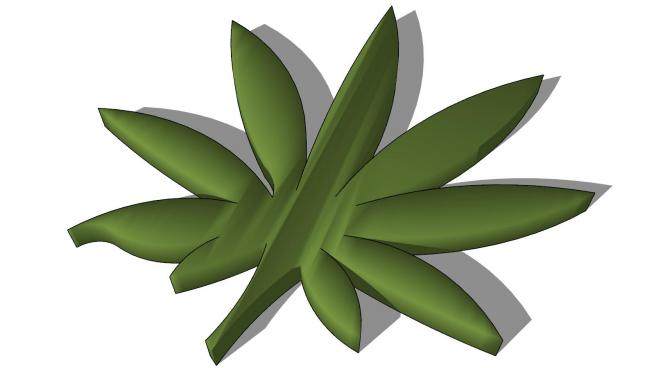 大麻植物SU模型下载_sketchup草图大师SKP模型