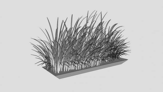 室外植物亚麻SU模型下载_sketchup草图大师SKP模型