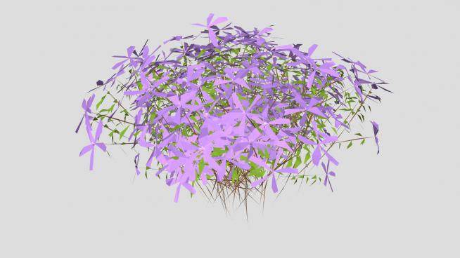 紫色花地被植物SU模型下载_sketchup草图大师SKP模型