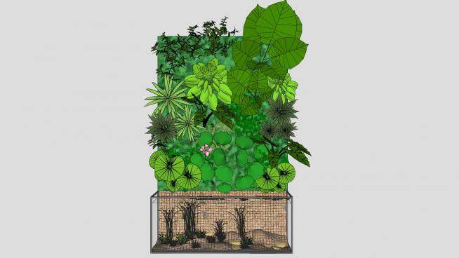 雨林缸植物景观SU模型下载_sketchup草图大师SKP模型