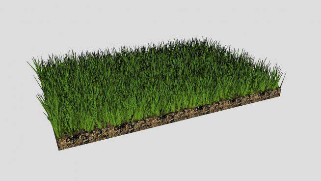 3D绿草植物SU模型下载_sketchup草图大师SKP模型