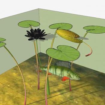 荷花荷叶和鲶鱼SU模型下载_sketchup草图大师SKP模型