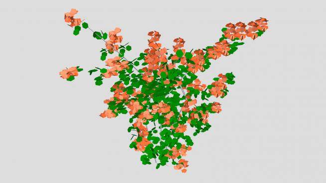 橙色三角梅植物SU模型下载_sketchup草图大师SKP模型