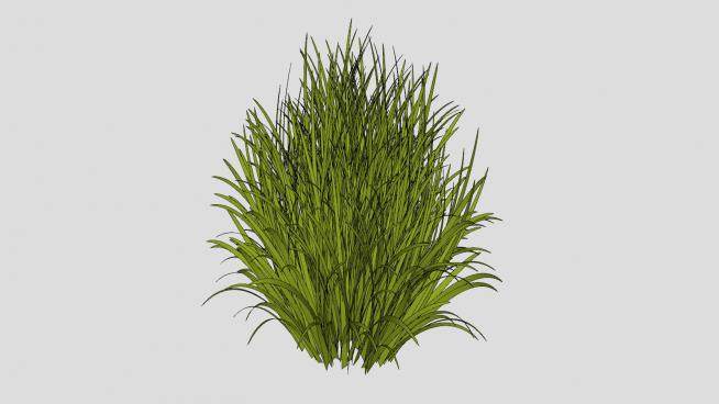 绿叶灌木植物sketchup模型下载_sketchup草图大师SKP模型