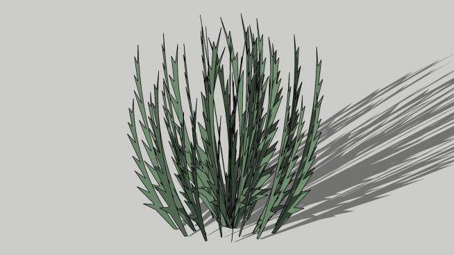 迷迭香灌木植物sketchup模型下载_sketchup草图大师SKP模型