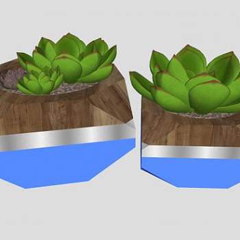 多肉盆栽SU模型下载_sketchup草图大师SKP模型