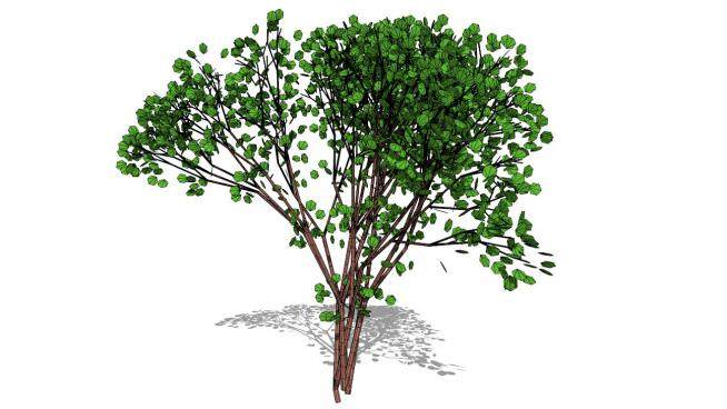 3d树su模型下载_sketchup草图大师SKP模型