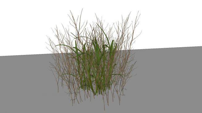 杂乱的草类植物SU模型下载_sketchup草图大师SKP模型