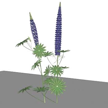 蓝色花草植物SU模型下载_sketchup草图大师SKP模型