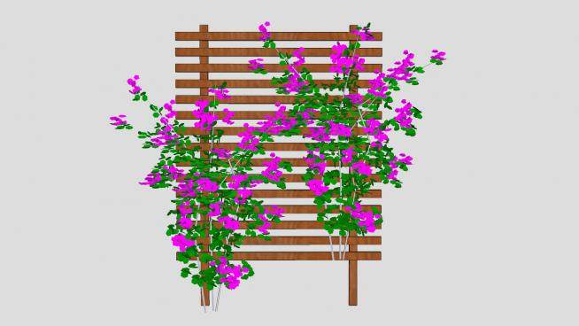 木架上的植物SU模型下载_sketchup草图大师SKP模型
