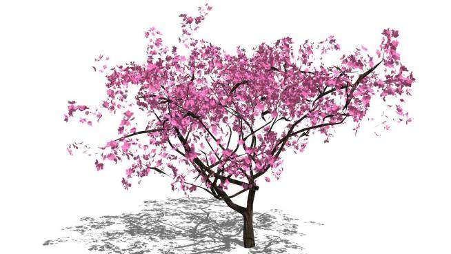 景观树su模型下载_sketchup草图大师SKP模型