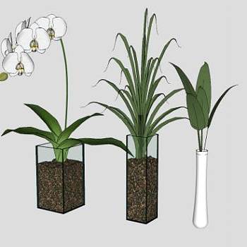 植物花瓶装饰布置SU模型下载_sketchup草图大师SKP模型