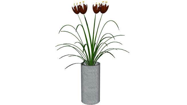 室内摆件植物花瓶SU模型下载_sketchup草图大师SKP模型