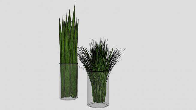 玻璃花瓶观赏植物SU模型下载_sketchup草图大师SKP模型