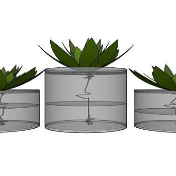 水培植物花盆SU模型下载_sketchup草图大师SKP模型