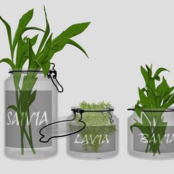 观赏植物花瓶装饰品SU模型下载_sketchup草图大师SKP模型