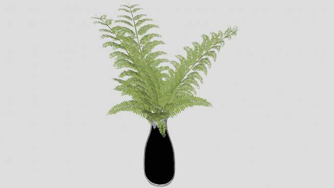 蕨类植物花瓶装饰SU模型下载_sketchup草图大师SKP模型