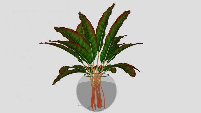 玻璃花瓶植物装饰品摆件SU模型下载_sketchup草图大师SKP模型