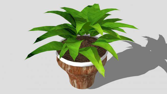 室内盆栽植物摆件SU模型下载_sketchup草图大师SKP模型
