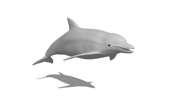 现代海豚SU模型下载_sketchup草图大师SKP模型