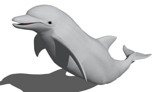 海豚的su模型下载_sketchup草图大师SKP模型