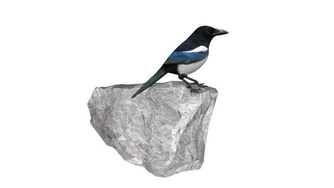 石头上的鸟SU模型下载_sketchup草图大师SKP模型