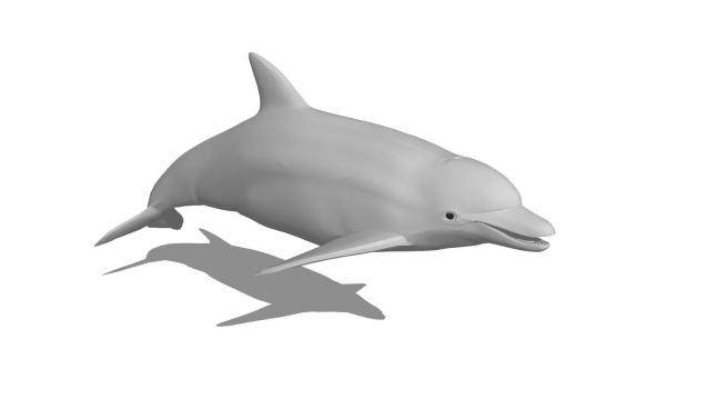 现代海豚sketchup模型下载_sketchup草图大师SKP模型