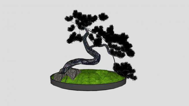 带苔藓岩石的松树盆景SU模型下载_sketchup草图大师SKP模型