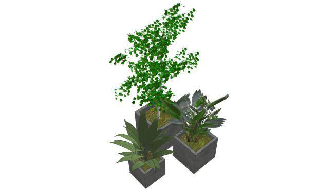 树木和植物盆栽SU模型下载_sketchup草图大师SKP模型