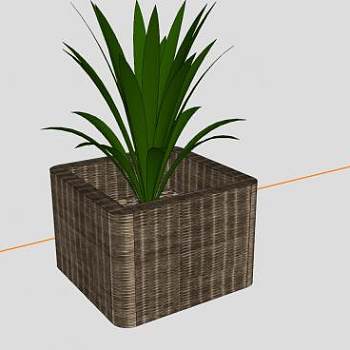 户外花箱观赏植物SU模型下载_sketchup草图大师SKP模型