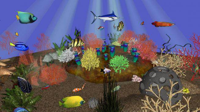 海洋类生物su模型下载_sketchup草图大师SKP模型