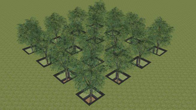 地下树的果园SU模型下载_sketchup草图大师SKP模型