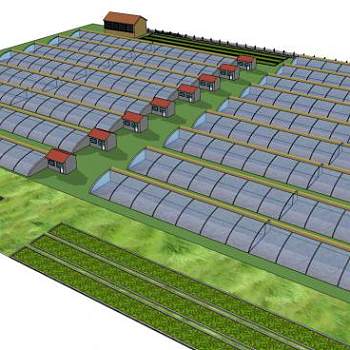大型温室大棚框架su模型下载_sketchup草图大师SKP模型