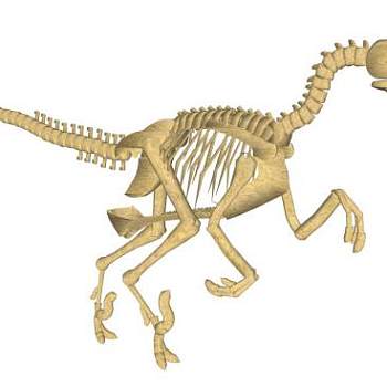 恐龙骨架的su模型下载_sketchup草图大师SKP模型