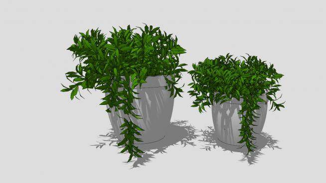 3D绿色盆栽植物景观SU模型下载_sketchup草图大师SKP模型