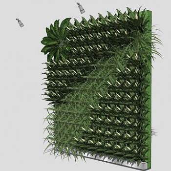 垂直绿化植物墙花草SU模型下载_sketchup草图大师SKP模型