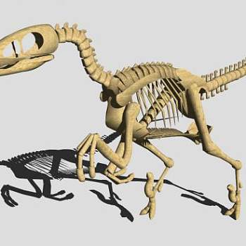 恐龙骨架的SU模型设计_su模型下载 草图大师模型_SKP模型