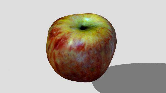 水果营养苹果SU模型下载_sketchup草图大师SKP模型