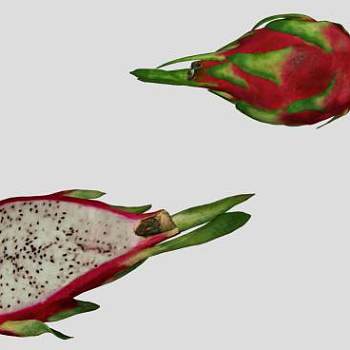 蔬菜龙果水果SU模型下载_sketchup草图大师SKP模型