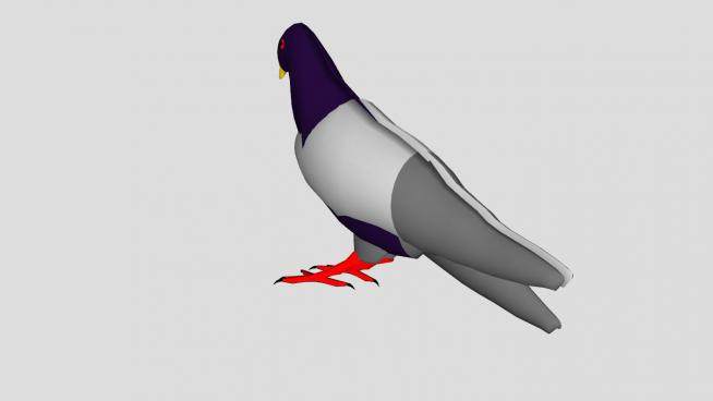 鸟类动物鸽子SU模型下载_sketchup草图大师SKP模型