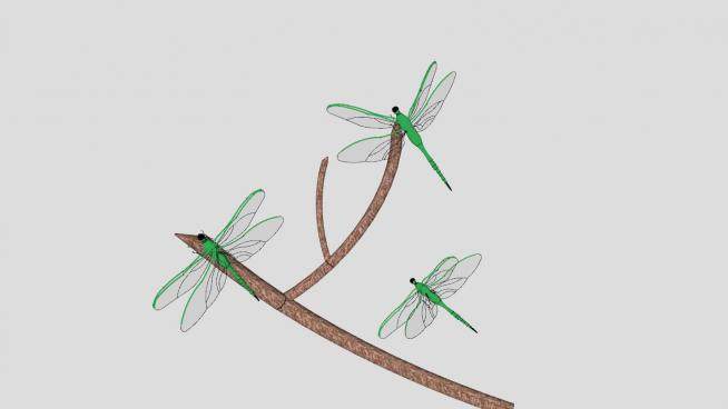 树枝上的蜻蜓SU模型下载_sketchup草图大师SKP模型