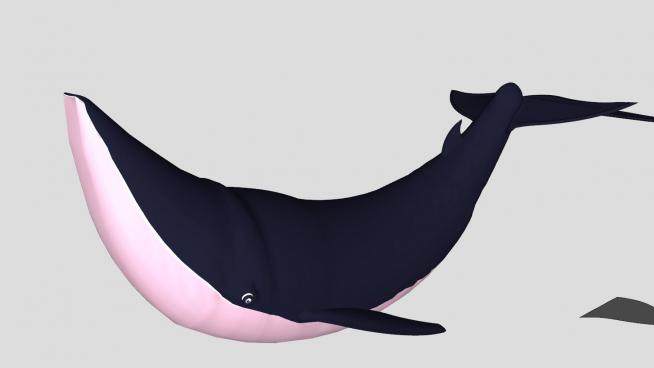 水生哺乳动物布氏鲸SU模型下载_sketchup草图大师SKP模型