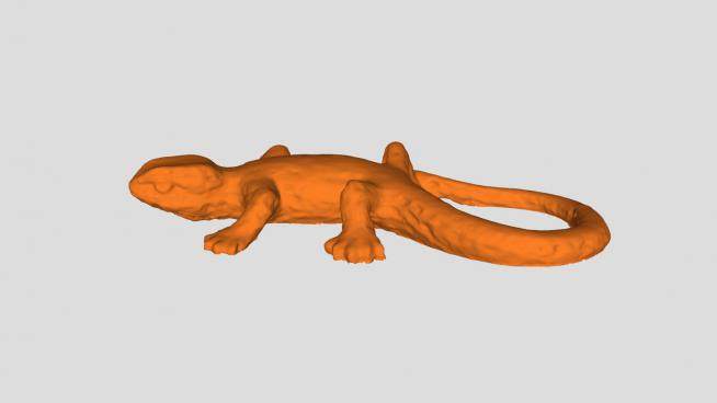蜥蜴爬行动物SU模型下载_sketchup草图大师SKP模型